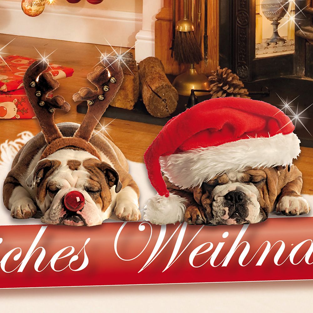 Weihnachtskarten Hunde 50 Sets selbst drucken lustig witzig für Firmen
